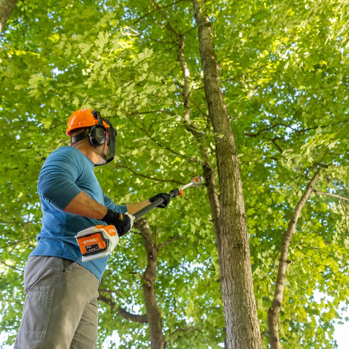 STIHL® HTA 50 Kit