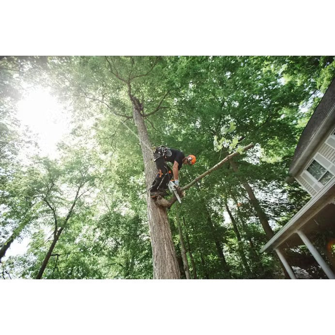 STIHL® MS 151 T C-E Chainsaw