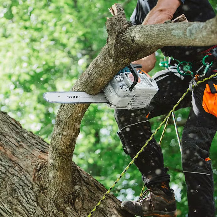 STIHL® MS 151 T C-E Chainsaw